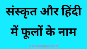 25 Flowers name in Sanskrit with hindi meaning - Hindi Ki Baat