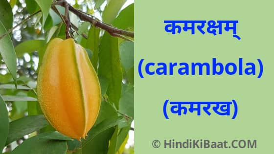 Carambola in Sanskrit. कमरख का संस्कृत में नाम