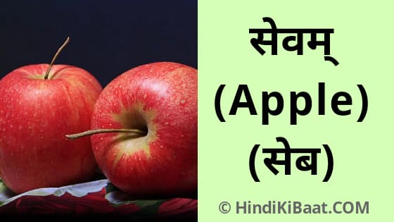 Apple in Sanskrit. संस्कृत में सेब का नाम