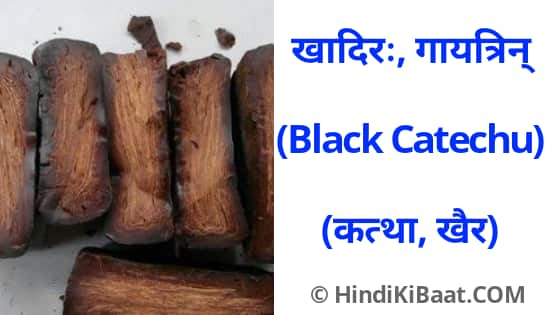 Black Catechu in Sanskrit. कत्था का संस्कृत में नाम