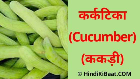 Cucumber in Sanskrit. ककड़ी का संस्कृत में नाम