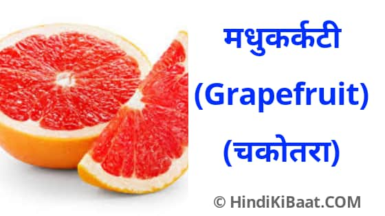 Grapefruit in Sanskrit. चकोतरा का संस्कृत में नाम