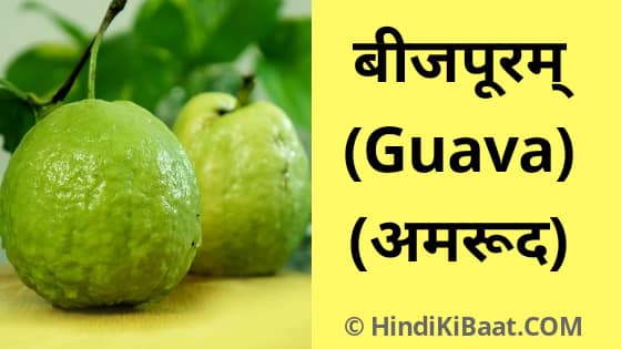 Guava in Sanskrit. अमरूद का संस्कृत में नाम