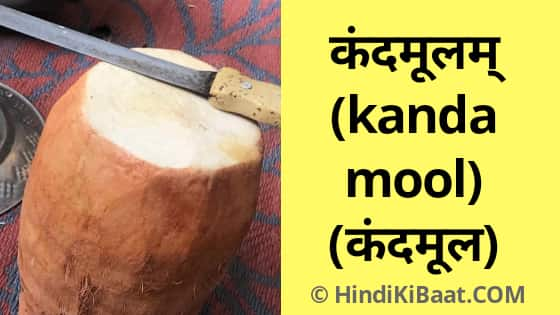 Kandamool in Sanskrit. कंदमूल का संस्कृत में नाम