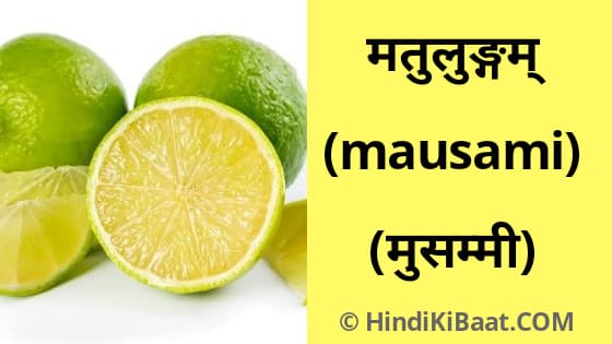 Mausami in Sanskrit. मुस्समी का संस्कृत में नाम