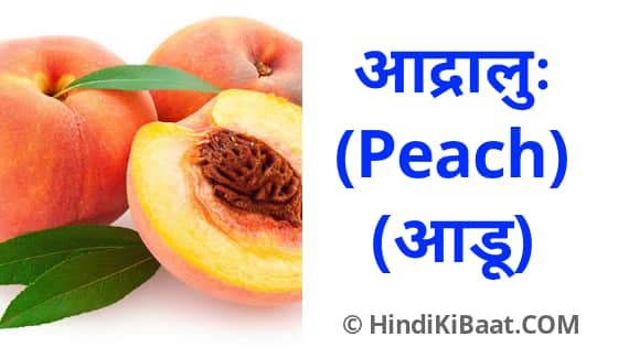 Peach in Sanskrit. आड़ू का संस्कृत में नाम