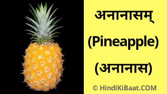 Pineapple in Sanskrit. अनानास का संस्कृत में नाम