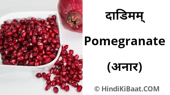 Pomegranate in Sanskrit. अनार का संस्कृत में नाम