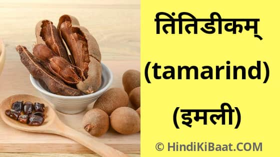 Tamarind in Sanskrit. इमली का संस्कृत में नाम