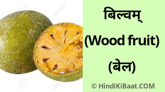 Wood Fruit in Sanskrit. बेल का संस्कृत में नाम