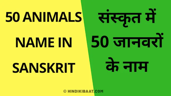 50 animals name in Sanskrit || संस्कृत में 50 जानवरों के नाम - Hindi Ki Baat